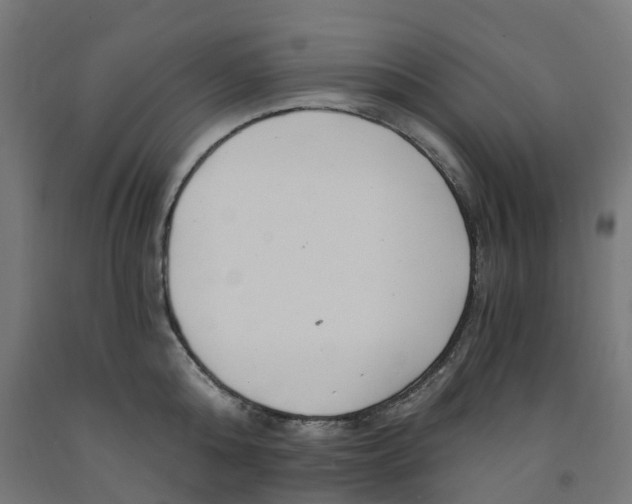 X0000091900808200710031821