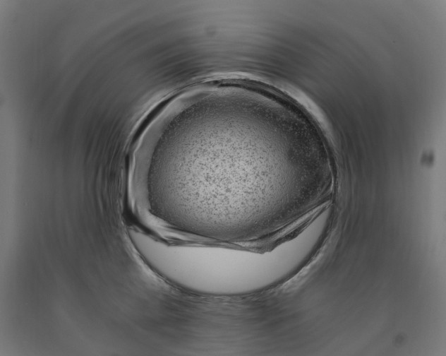 X0000091900809200710031821