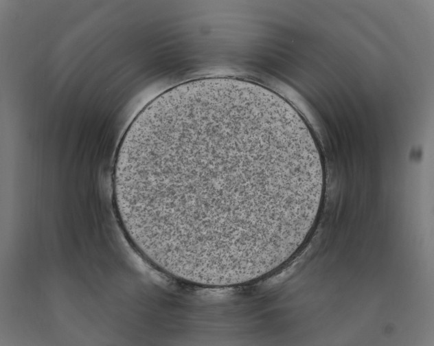 X0000091900810200710031821