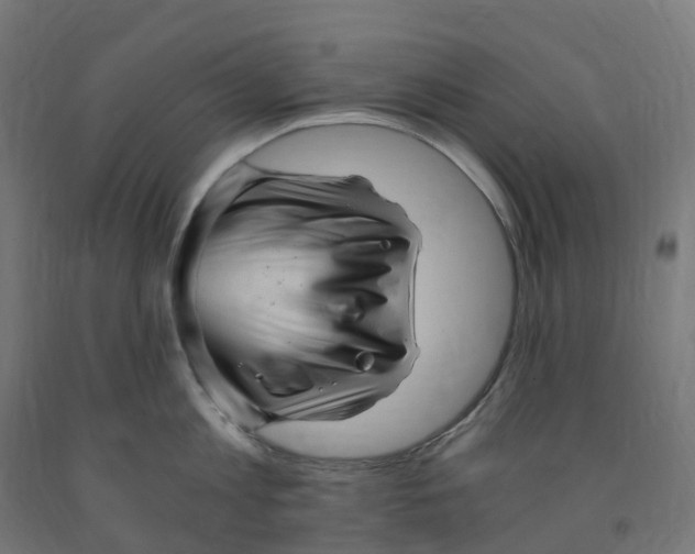 X0000091900813200710031821