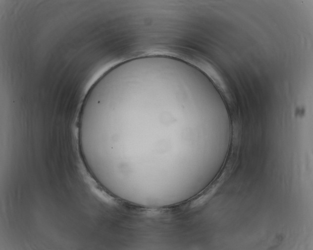 X0000091900814200710031821