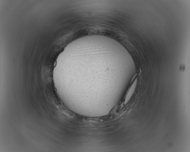 X0000091900819200710031820