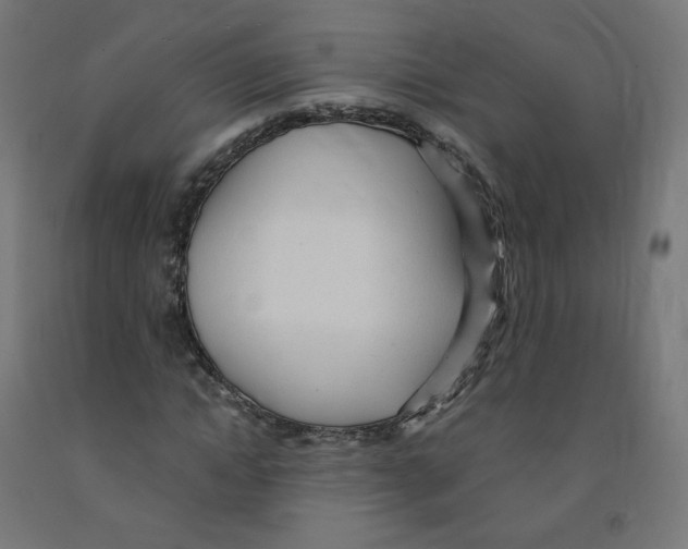 X0000091900822200710031820