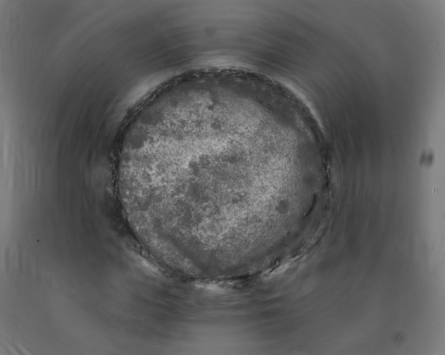 X0000091900823200710031820