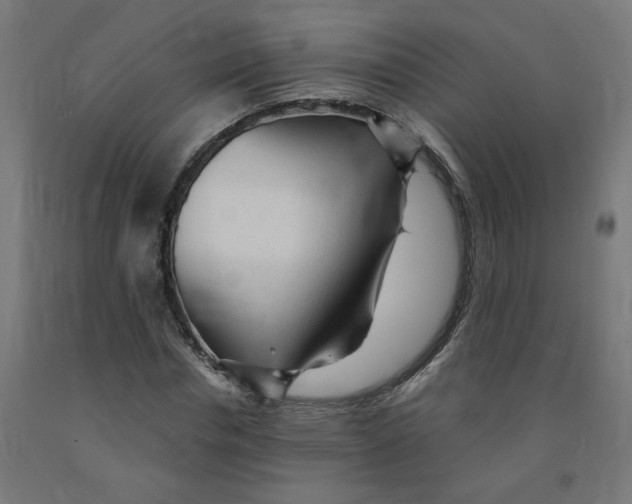 X0000091900826200710031820