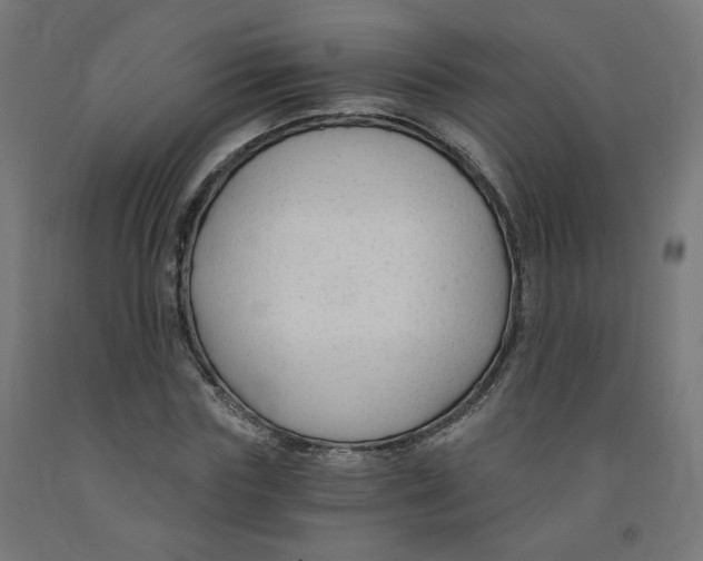 X0000091900827200710031820