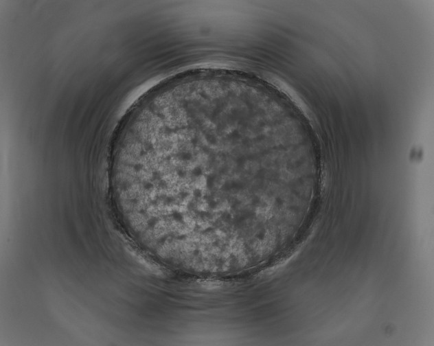 X0000091900829200710031820