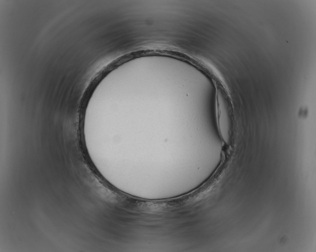 X0000091900831200710031820