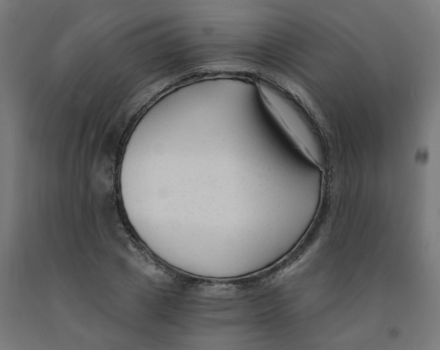 X0000091900833200710031820