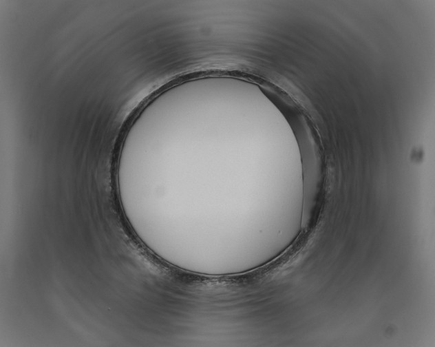 X0000091900834200710031820