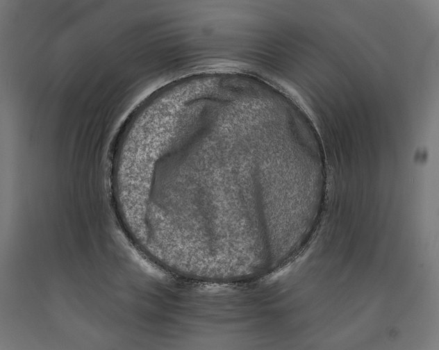 X0000091900835200710031820