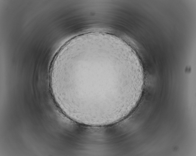 X0000091900836200710031820