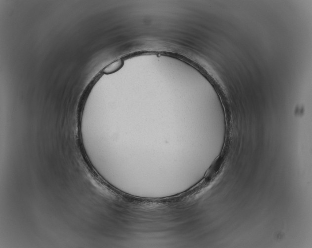 X0000091900837200710031820