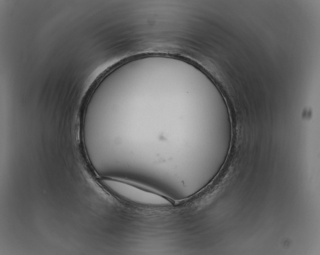 X0000091900838200710031820