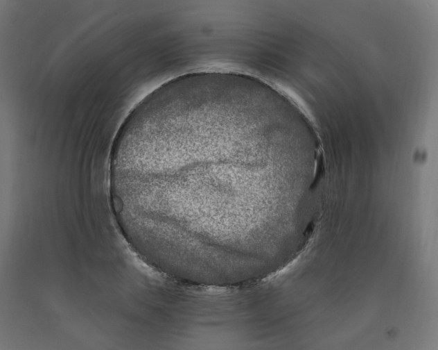 X0000091900839200710031820