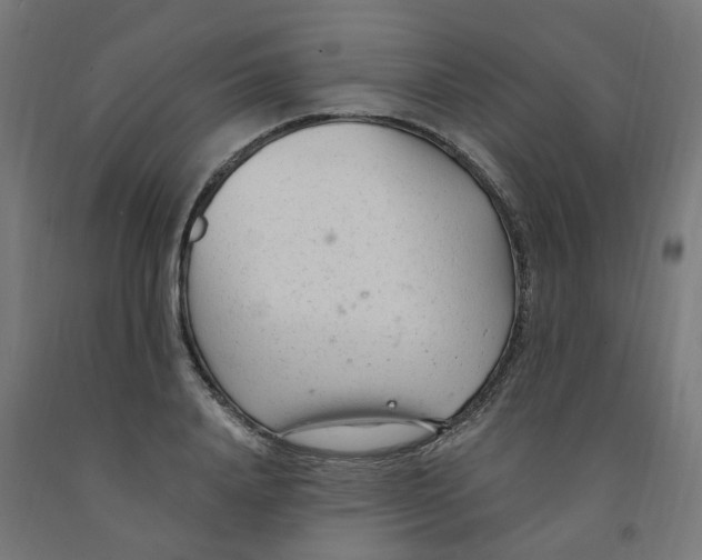 X0000091900840200710031820