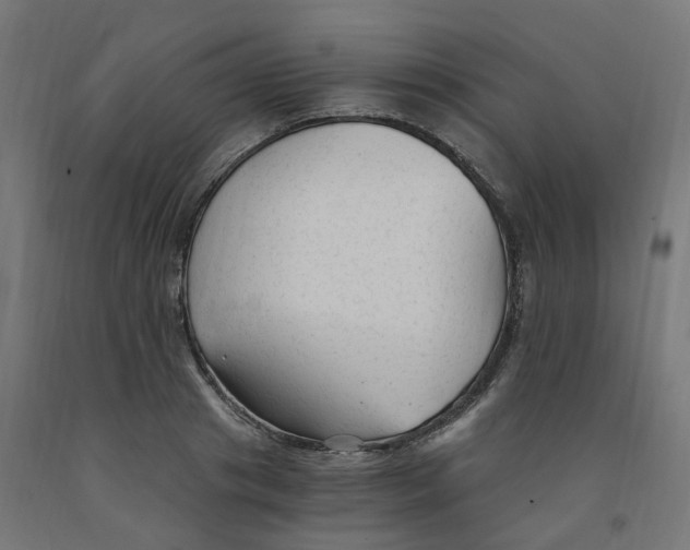 X0000091900841200710031820