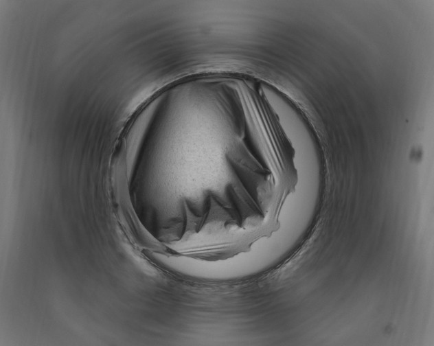 X0000091900842200710031821