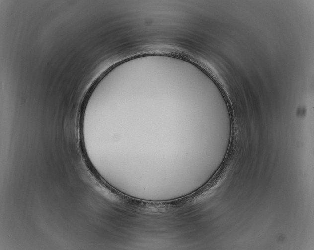 X0000091900843200710031821