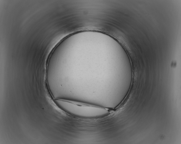 X0000091900844200710031821