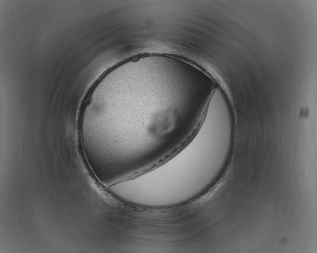 X0000091900845200710031821