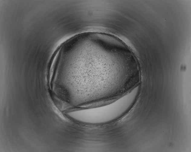 X0000091900846200710031821