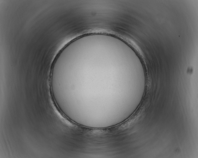 X0000091900847200710031821