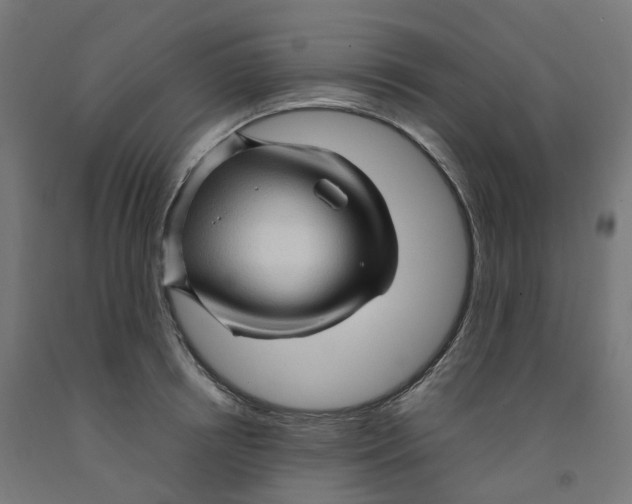 X0000091900850200710031821