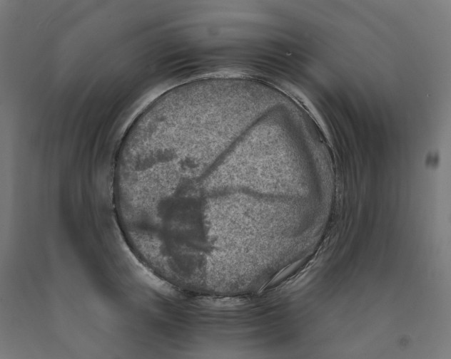 X0000091900851200710031821