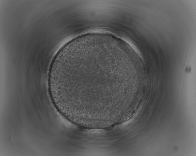 X0000091900853200710031821