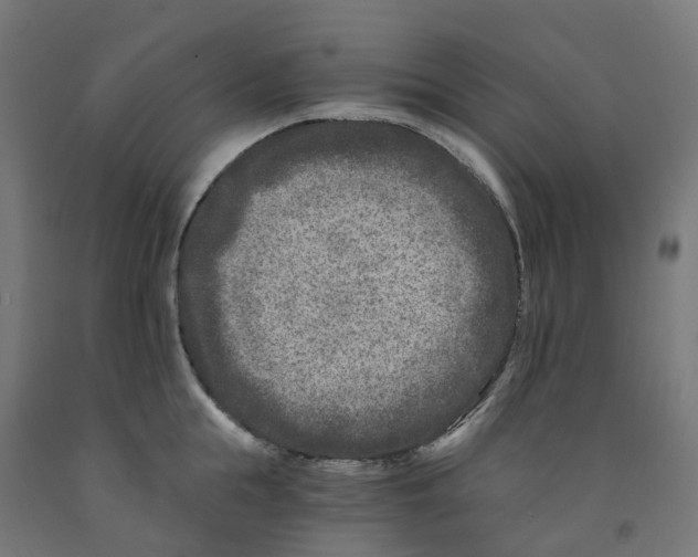 X0000091900855200710031821