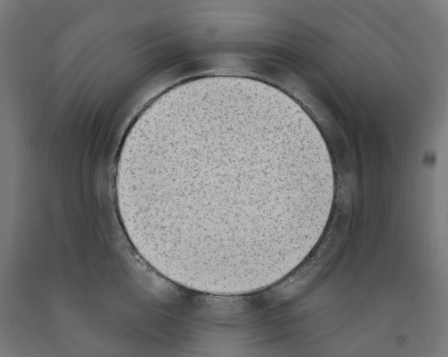 X0000091900856200710031821