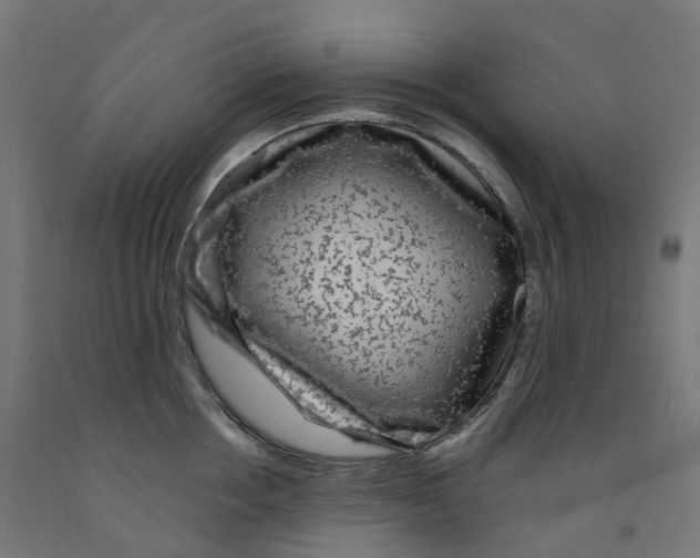 X0000091900858200710031821