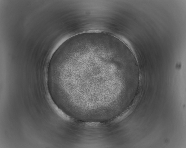 X0000091900859200710031821