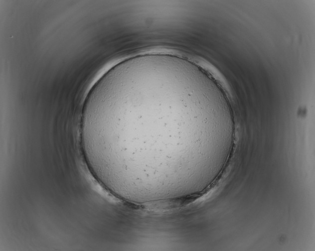 X0000091900860200710031821