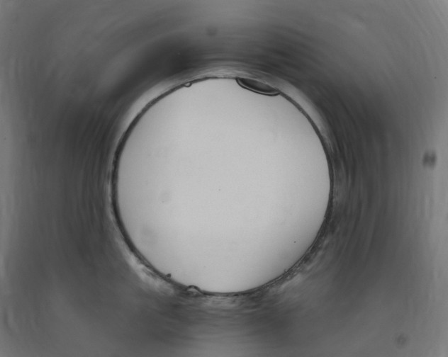 X0000091900861200710031821