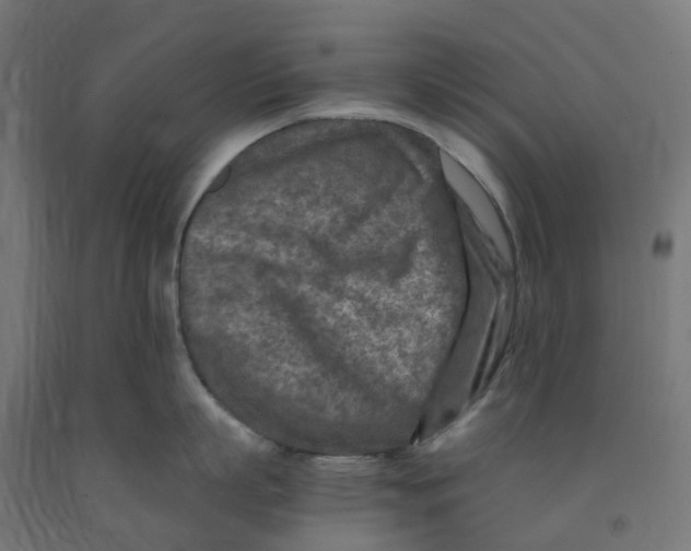 X0000091900863200710031821