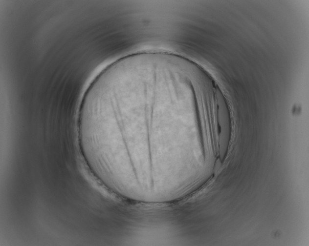 X0000091900864200710031821