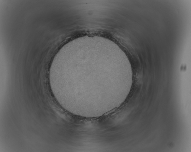 X0000091900865200710031820