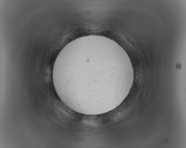 X0000091900866200710031820