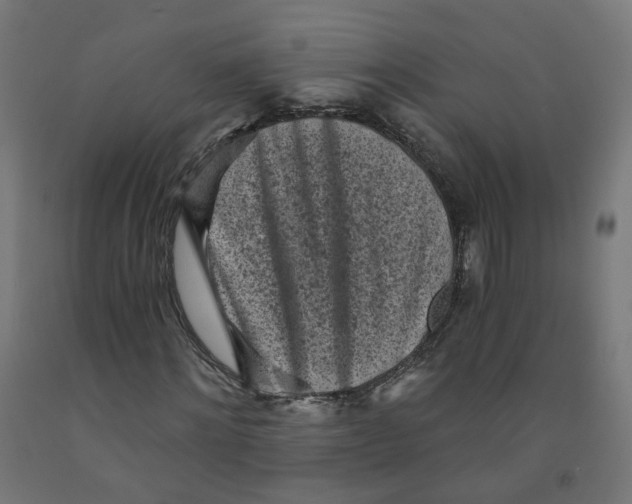 X0000091900868200710031820