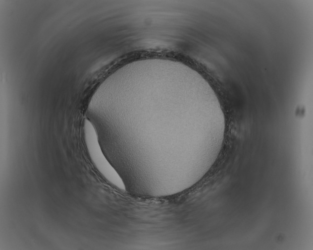 X0000091900869200710031820