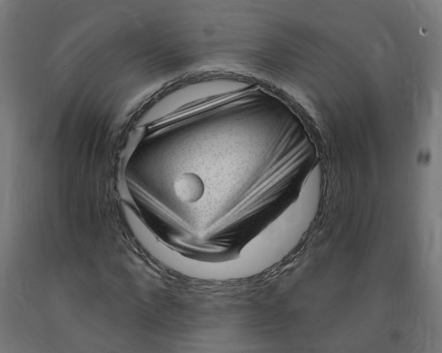 X0000091900872200710031820