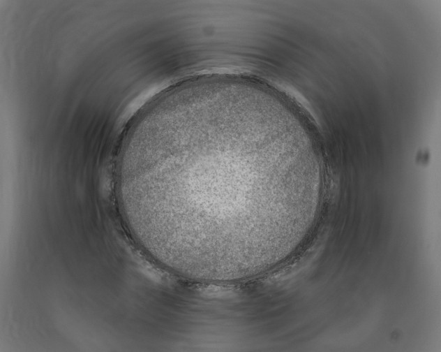 X0000091900874200710031820