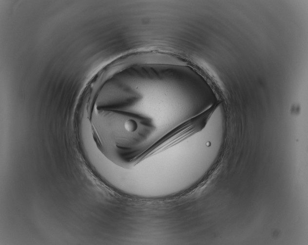 X0000091900876200710031820