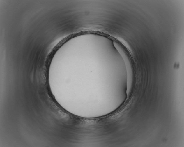 X0000091900878200710031820