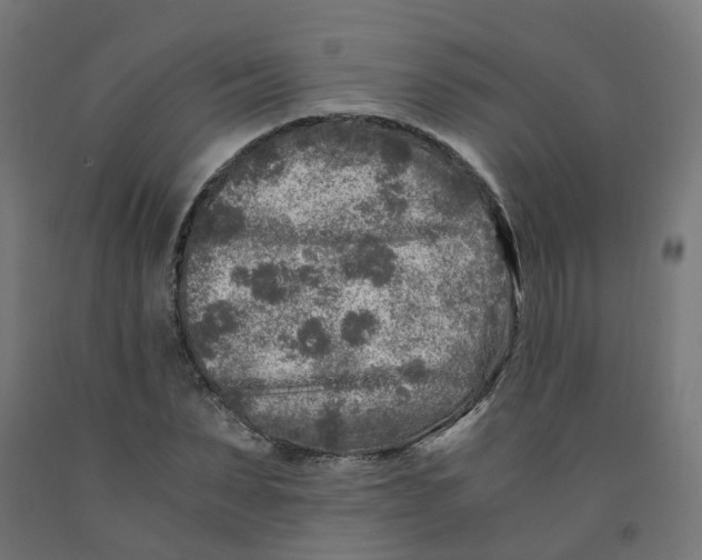 X0000091900879200710031820