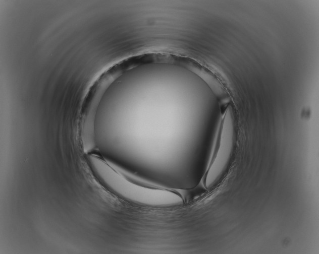 X0000091900880200710031820