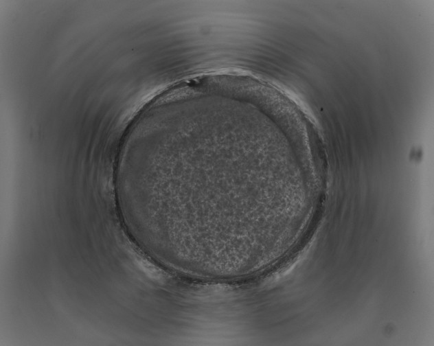 X0000091900881200710031820