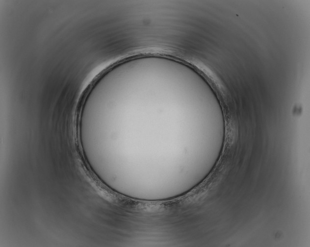 X0000091900886200710031820